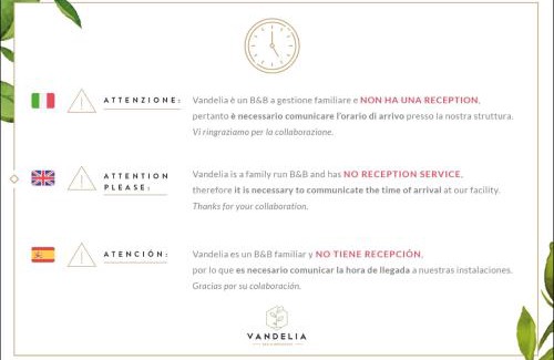 Molfetta Bed & Breakfast | Vandelia B&B