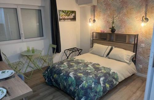Chasse-sur-Rhone Apartment | VERDI studio COSY au calme parking gratuit