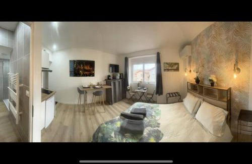 Chasse-sur-Rhone Apartment | VERDI studio COSY au calme parking gratuit
