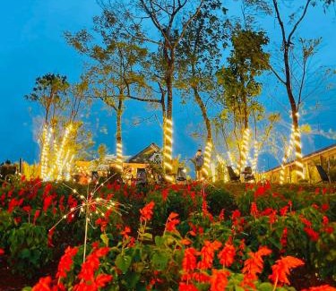 Kon Plong Hotel | Việt Úc Flower Garden