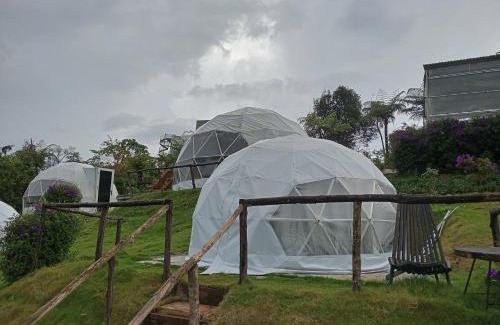 Kon Plong Hotel | Việt Úc Flower Garden