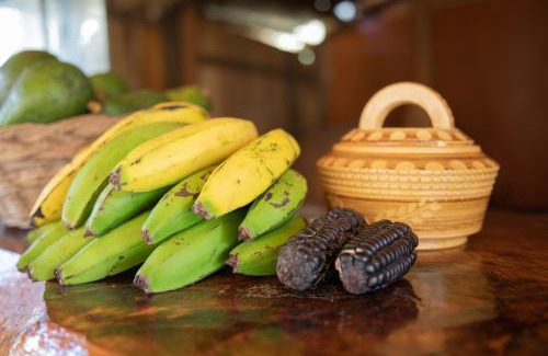 Santa Teresa House | Viamonte EcoLodge