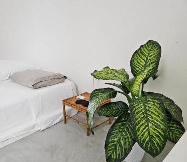 Ugento Apartment | Vicomeamore