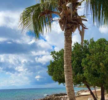 Marie Pampoen Villa | Victoria by the Sea