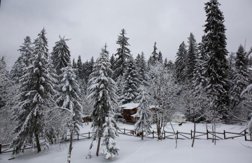 Borovets Hotel | Victoria Hotel Borovets - Free Parking