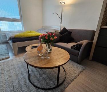 Trencin Apartment | Victory apartment