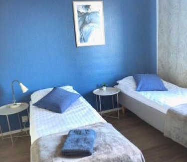 Jalasjarvi Apartment | Viihtyisä Kerrostalo yksiö hissitalossa