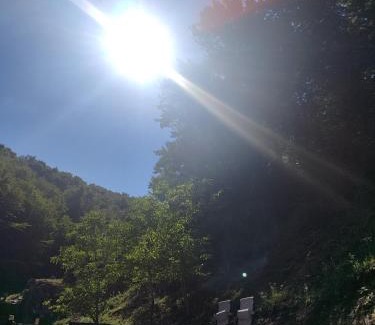 Bosanski Petrovac Other | Vikednica ZEA