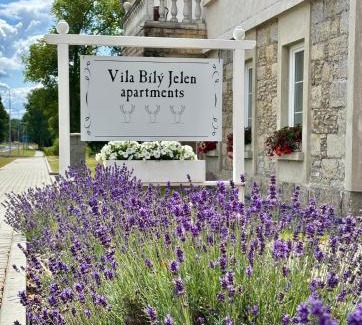 Ralsko Apartment | Vila Bílý Jelen apartments 2