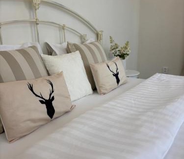 Ralsko Apartment | Vila Bílý Jelen apartments 2