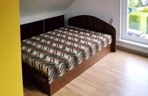 Ukmerge Villa | Vila House in the city center of Ukmerge
