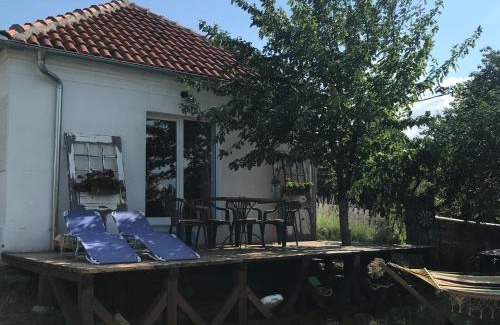 Kostol House | Vila Juliana