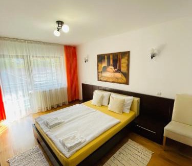 Busteni House | Vila Madisa