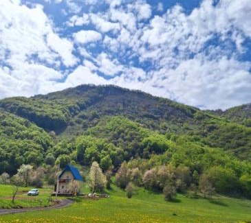 Milosevici House | Vila Paramida