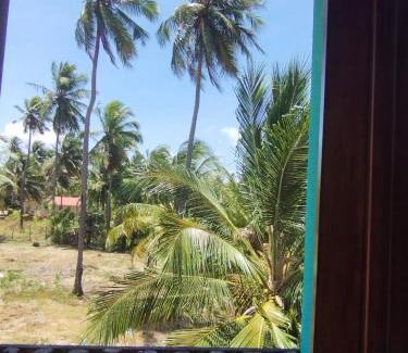 Moitas Other | Vila Samin Moitas