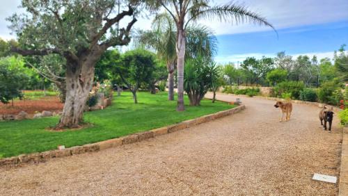 Presicce House | Villa Anna Salento