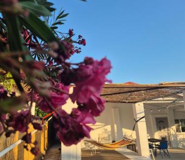 Nea Propontida House | Villa Aspri