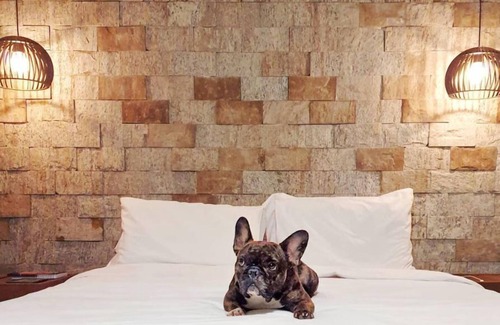 Socorro Hotel | Villa Ayê Pousada Petfriendly