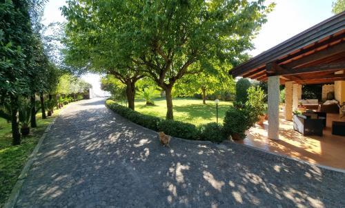 Sperlonga House | VILLA CECILIA sul LAGO fronte MARE