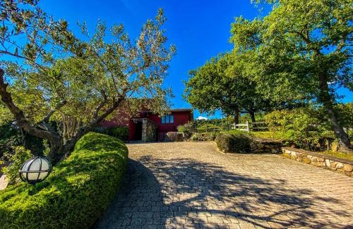 Passignano sul Trasimeno Villa | Villa Delle Rose