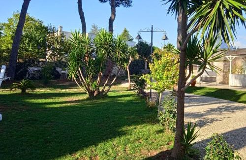 Selva di Fasano Apartment | Villa don peppe