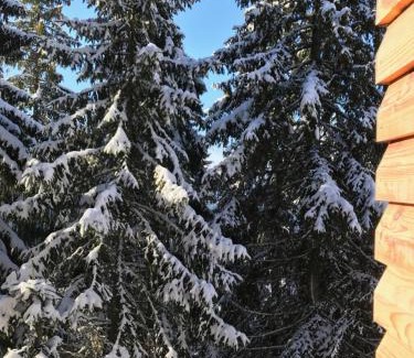 Babanovac Cabin | Villa Franka - Vlašić