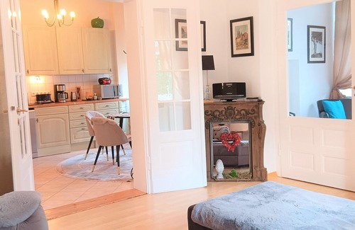 Leubnitz-Neuostra Apartment | * VILLA FREIA Dresden * Exceptional apartment in a city villa