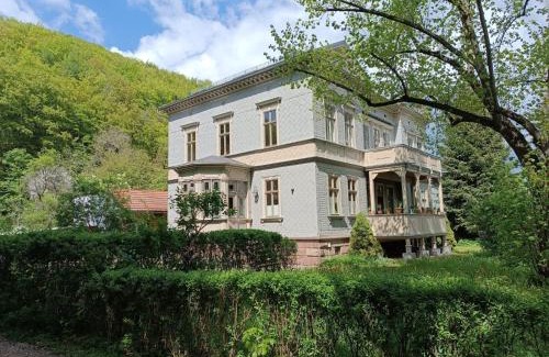 Grafenroda Apartment | Villa Heimlicher Grund