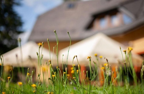 Przesieka House | Villa Idylla