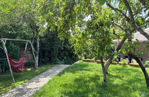 Kentron Villa | Villa in the center of Yerevan
