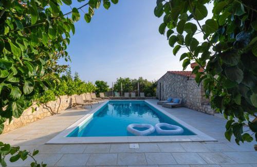 Mocici Villa | Villa Joe