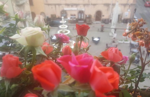 Bosa Historic Centre Bed & Breakfast | Villa Julia