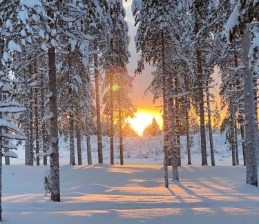 Ranua Apartment | Villa Ketola