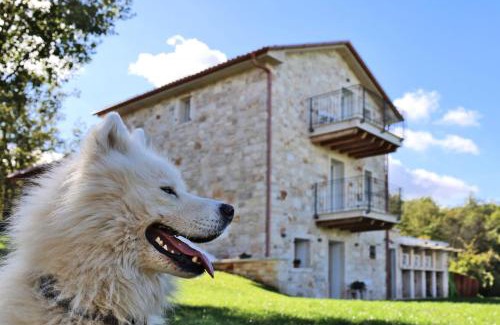 Bibali Villa | Villa Krug with 3 br and a pool immersed in nature near Buje