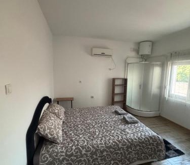 Novi Becej House | Villa Leon