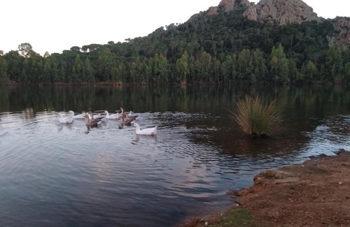 Poggio dei Pini House | Villa Luigi a Poggio dei Pini, alloggio con giardino e posto auto