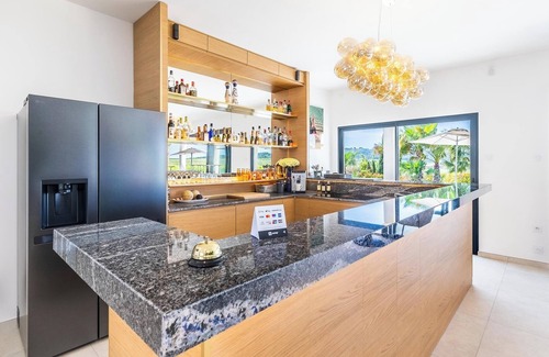 Plaissan Villa | Villa Luxe SCL Heated mirror pool Jacuzzi and exotic garden in vineyard