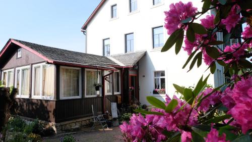 Barenfels House | Villa Lydia