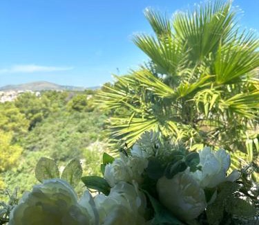 Businci Apartment | Villa Night Pearl