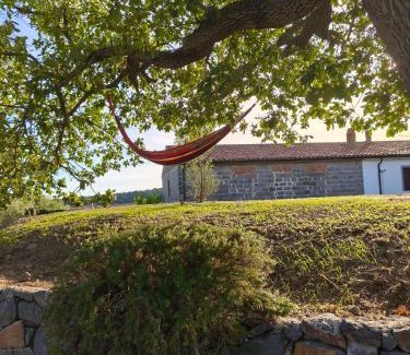 Boroneddu House | Villa Omodeo