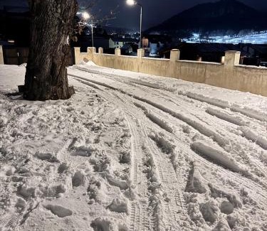 Bakuriani Villa | Villa on the Edge of the Forest