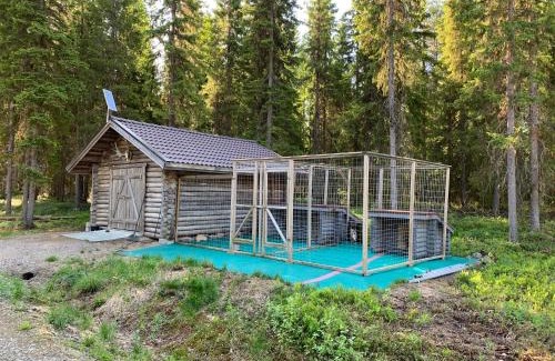 Tervola Ski Chalet | Villa Ossa