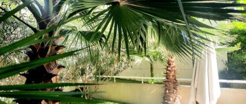 La Californie Apartment | Villa Pearl