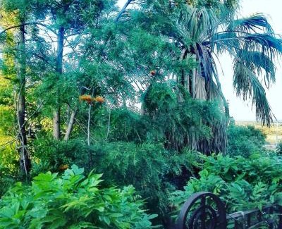 Modica Bed & Breakfast | Villa Polara