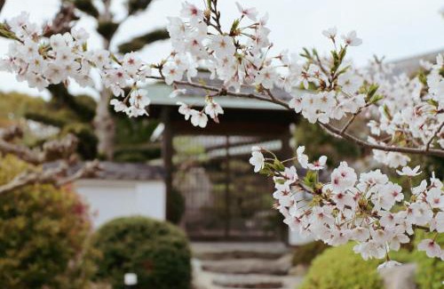 Hinasecho Hinase Villa | Villa SHINOBI -忍-