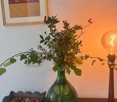 Laconi House | Villa Sveva