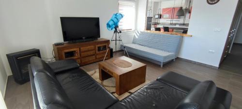 Gregovica Apartment | Villa Twins Markovic