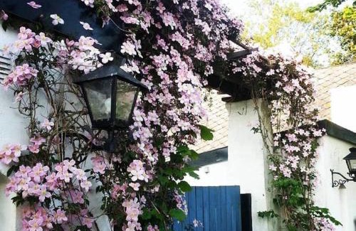 Vastra Vemmenhog House | Villa Vemmentorp - Äppelblomsvillan 6 min från havet