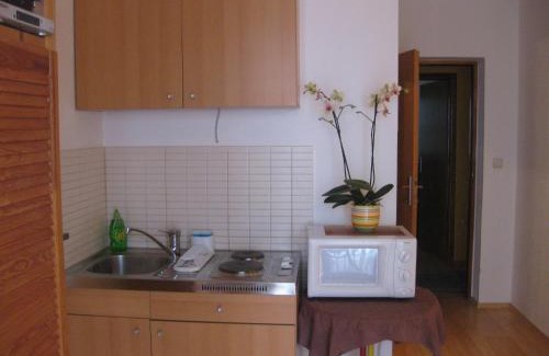 Krizna luka Apartment | Villa Vera