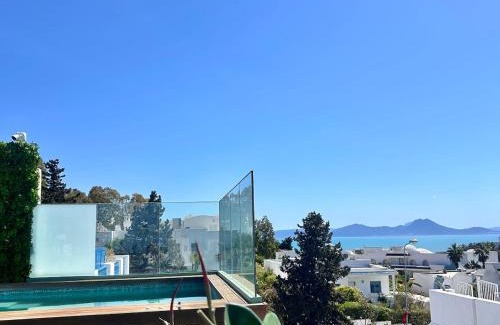 Sidi Bou Said Villa | Villa Verde Sidi Bou Said
